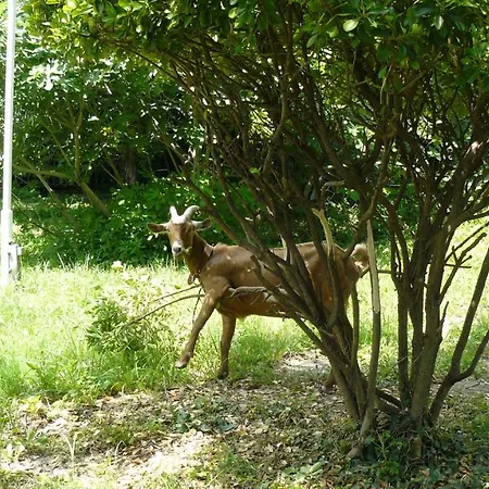 מלון Briz 3 - Free Parking 2*